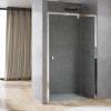 Ronal Sanswiss Arelia drzwi prysznicowe 100 cm srebrny polerowany D20T131004007